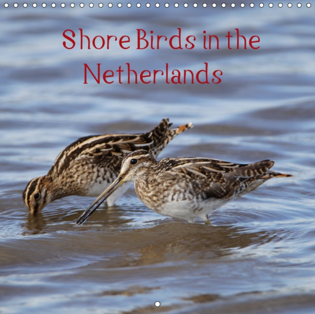 Shore Birds in the Netherlands 2019 : The beauty of our wonderful nature, Calendar Book