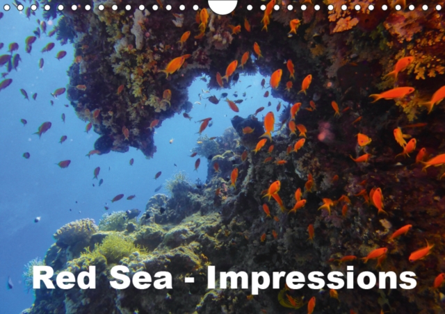 Red Sea - Impressions 2019 : Underwater photography from the Red Sea - Enjoy it., Calendar Book