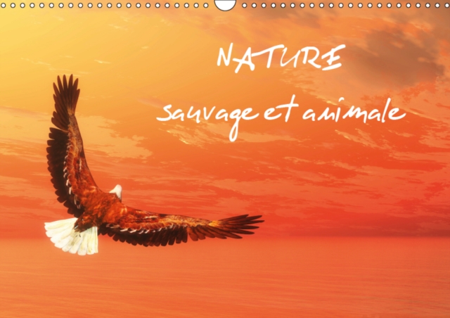 Nature sauvage et animale 2019 : Scenes de nature sauvage aux couleurs enchanteuses, Calendar Book