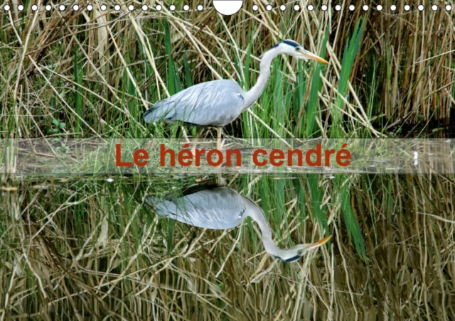 Le Heron cendre 2019 : Portrait d'un oiseau : le heron cendre dans le parc naturel du Patis a Meaux, Calendar Book