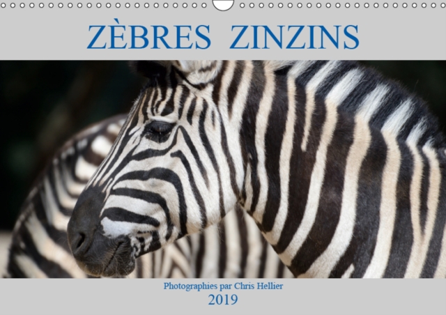 Zebres Zinzins 2019 : Portraits du Zebre des Plaines ou de Burchell (Equus quagga), un des animaux sauvages les plus populaires au monde., Calendar Book