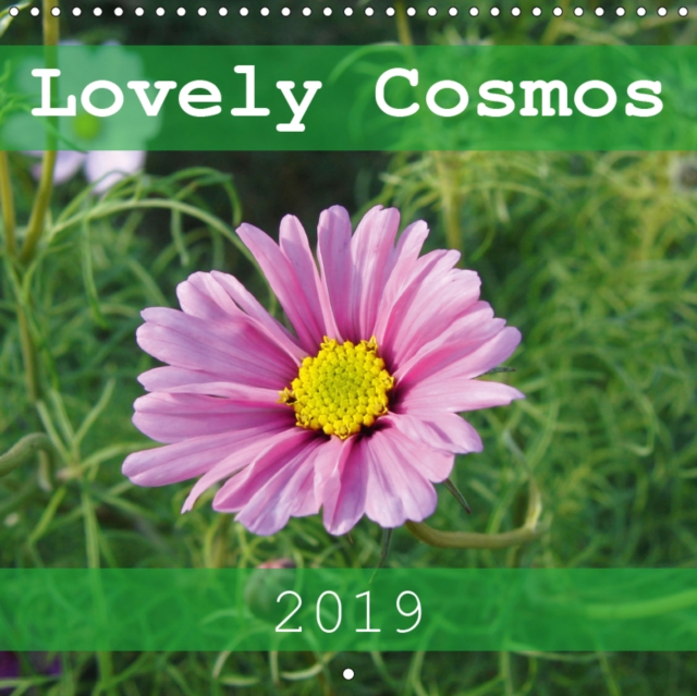 Lovely Cosmos 2019 : A calendar for cosmos lovers, Calendar Book