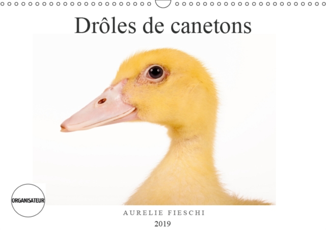 Droles de canetons 2019 : D'adorables canetons, Calendar Book