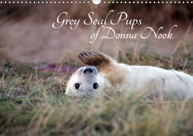 Grey Seal Pups of Donna Nook 2019 : New borns and week old seal pups, Calendar Book