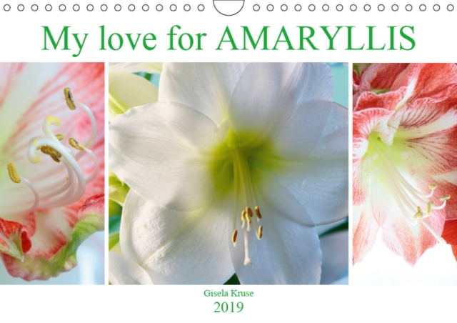 My love for AMARYLLIS 2019 : Majestic flowers with impressive stamens, Calendar Book