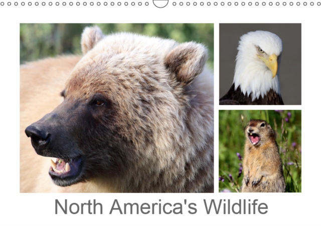 North America's Wildlife 2019 : Variety of wildlife in North America, Calendar Book