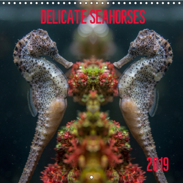 Delicate seahorses 2019 : Seahorses, usually hard to spot under water, in all their grace., Calendar Book