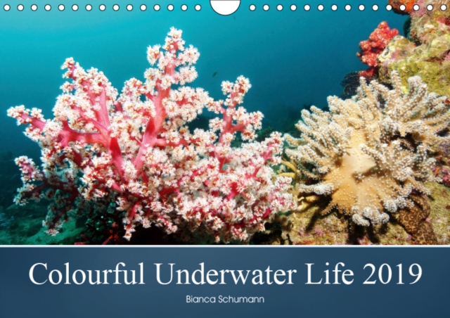 Colourful Underwater Life 2019 2019 : The tropical waters of Pemuteran, Calendar Book