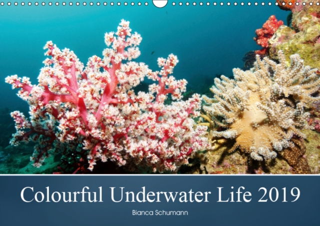 Colourful Underwater Life 2019 2019 : The tropical waters of Pemuteran, Calendar Book