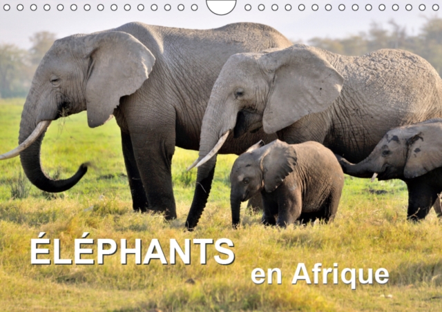Elephants en Afrique 2019 : Les elephants d'Afrique sont imposants et puissants a la fois, mais parfois aussi affectueux et attentionnes., Calendar Book