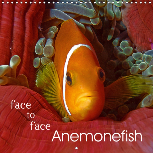 Anemonefish - face to face 2019 : Enjoy these stunning close-ups of Nemo!, Calendar Book
