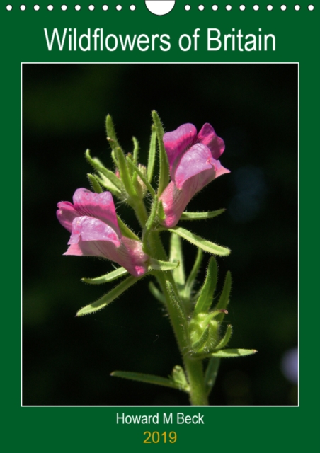 Wildflowers of Britain 2019 : Britain's wildflowers through the seasons, Calendar Book