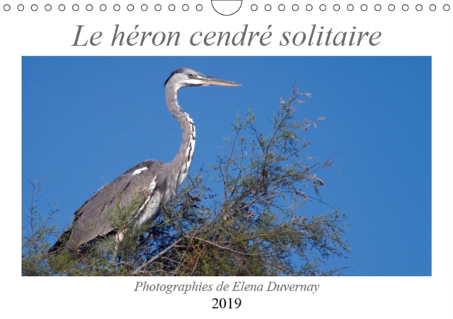 Le heron cendre solitaire 2019 : L'elegant heron cendre dans differentes situations de son quotidien., Calendar Book