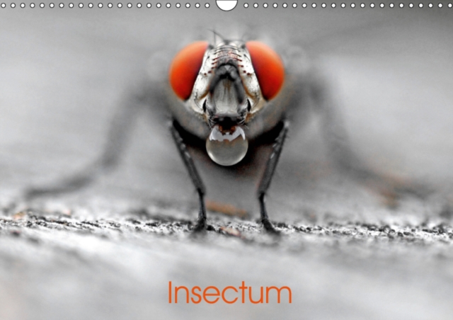 Insectum 2019 : Le monde fantastique des insectes, Calendar Book