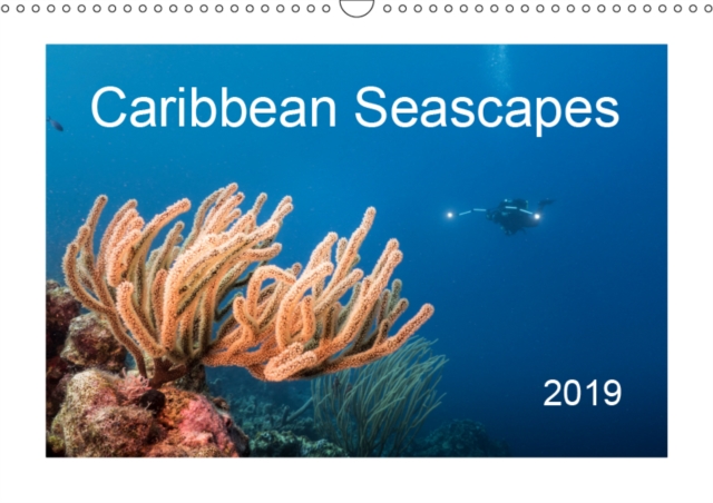 Caribbean Seascapes 2019 : Enjoy the magical underwater world of the Caribbean Sea!, Calendar Book