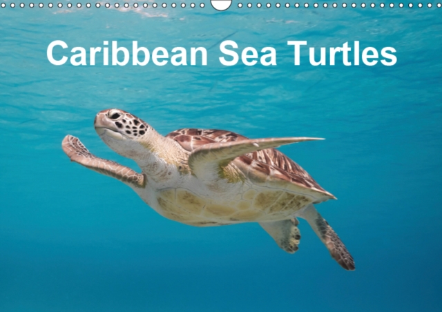 Caribbean Sea Turtles 2019 : Magical encounter with sea turtles!, Calendar Book