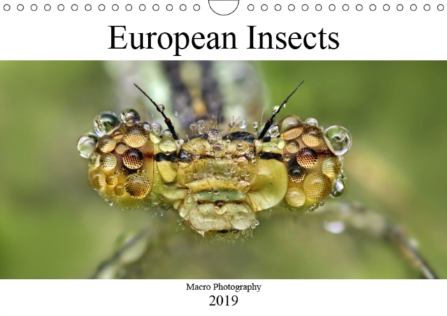 European Insects 2019 : Macro Photography, Calendar Book