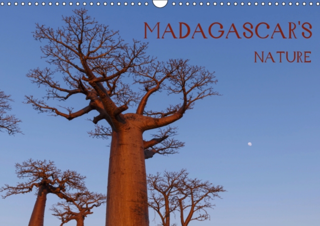 Madagascar's nature 2019 : Landscapes, fauna and flora of Madagascar, Calendar Book