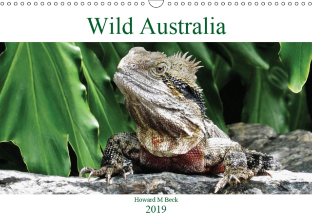 Wild Australia 2019 : All that is toothy, deadly and furry from Australia, Calendar Book