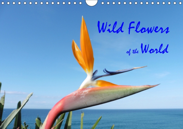 Wild Flowers of the World 2019 : A collection of vibrant images portraying the  diversity of international botany, Calendar Book