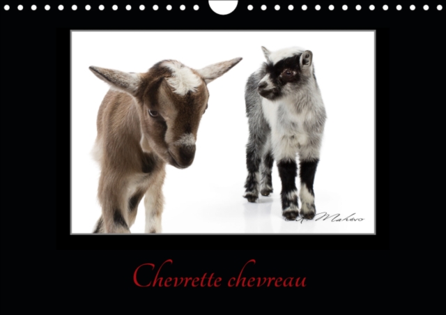 Chevrette chevreau 2019 : La chevre un etre intelligent et curieux., Calendar Book