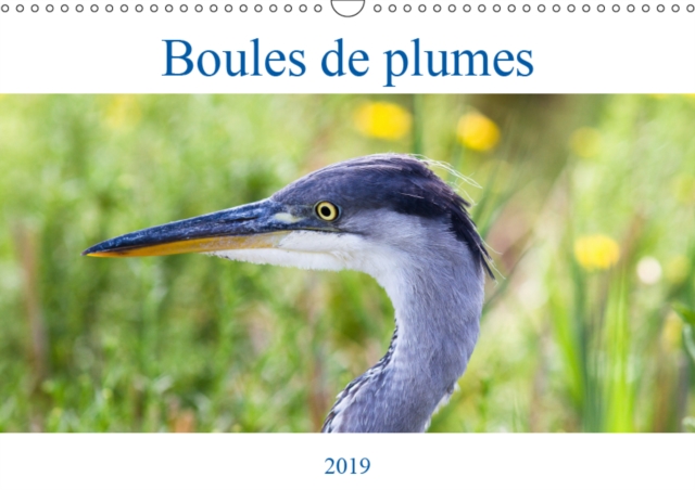 Boules de plumes 2019 : Oiseaux sauvages de la foret de Fontainebleau, Calendar Book