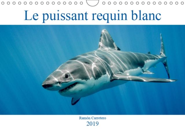 Le puissant requin blanc 2019 : Le puissant requin blanc, Calendar Book