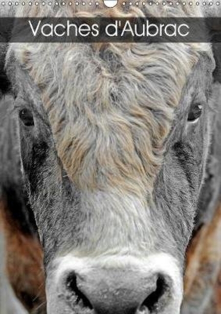 Vaches d'Aubrac 2019 : Les vaches de la race Aubrac en Aveyron, Calendar Book