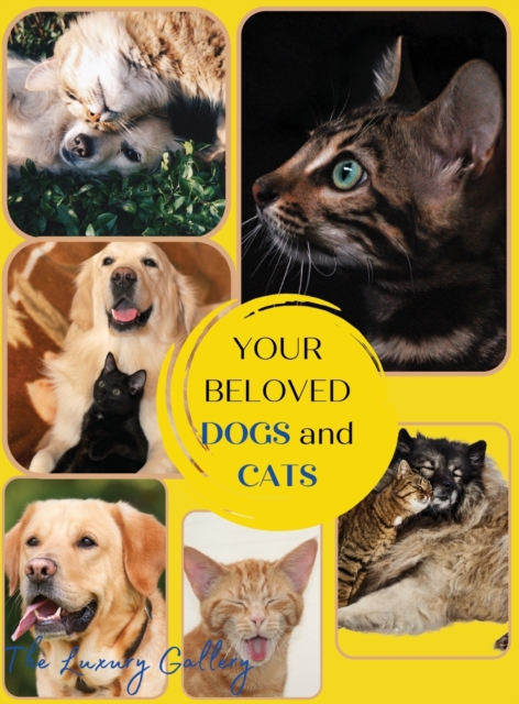 Your Beloved Dogs and Cats : The Best Selection of 50 Dog and Cat Photos by Manhattan's Top Photographers, Hardback Book