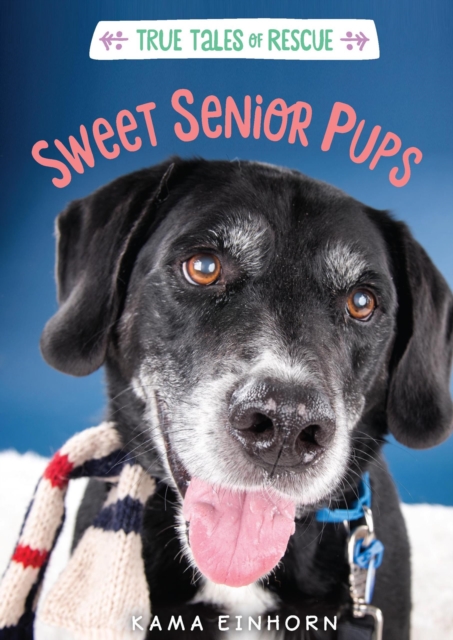 Sweet Senior Pups, EPUB eBook