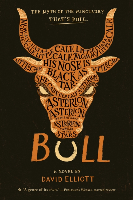Bull, Paperback / softback Book