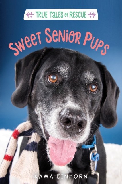 True Tales of Rescue: Sweet Senior Pups, Hardback Book
