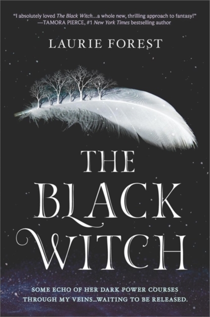 The Black Witch, Undefined Book