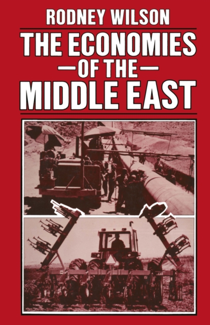 The Economies of the Middle East, PDF eBook