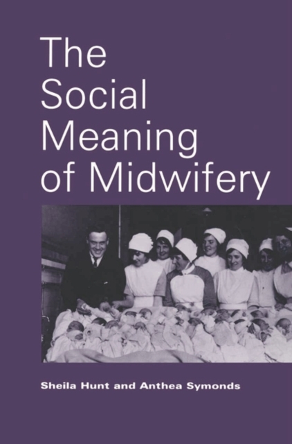 The Social Meaning of Midwifery, PDF eBook
