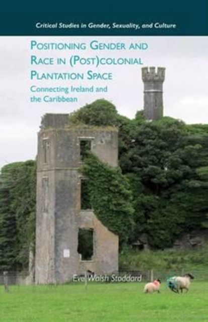 Positioning Gender and Race in (Post)colonial Plantation Space : Connecting Ireland and the Caribbean, Paperback / softback Book