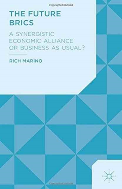 The Future BRICS : A Synergistic Economic Alliance or Business as Usual?, Paperback / softback Book