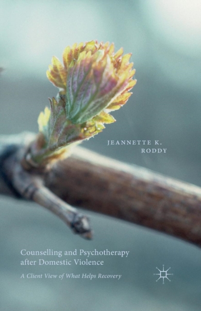 Counselling and Psychotherapy after Domestic Violence : A Client View of What Helps Recovery, Paperback / softback Book