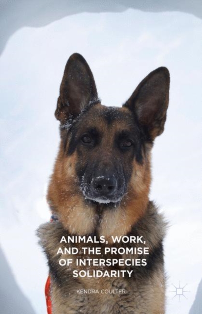 Animals, Work, and the Promise of Interspecies Solidarity, Paperback / softback Book
