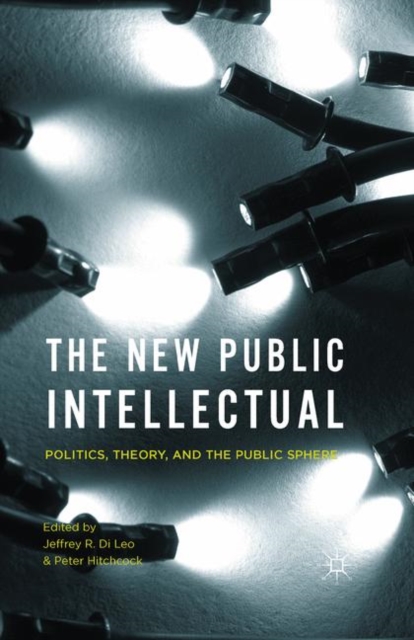 The New Public Intellectual : Politics, Theory, and the Public Sphere, Paperback Book