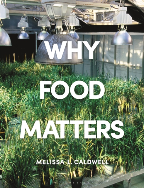 Why Food Matters : Critical Debates in Food Studies, Hardback Book