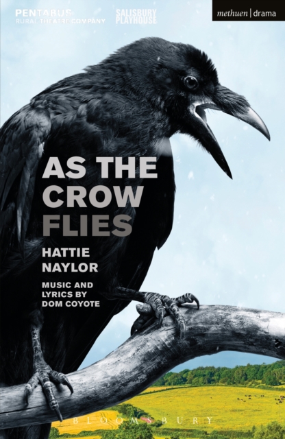 As the Crow Flies, EPUB eBook