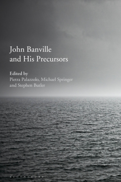 John Banville and His Precursors, Hardback Book