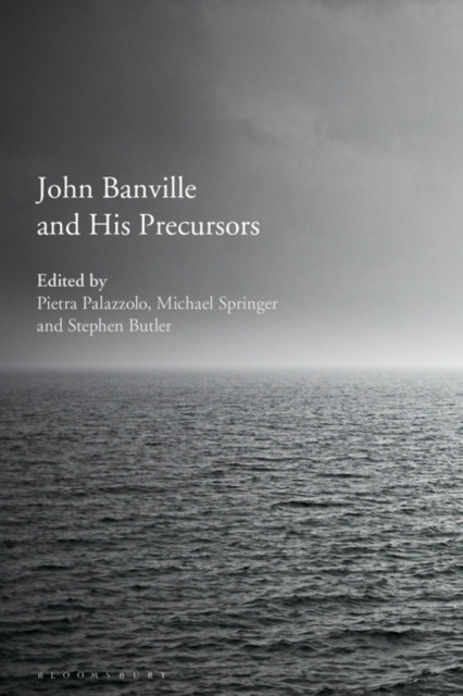 John Banville and His Precursors, PDF eBook