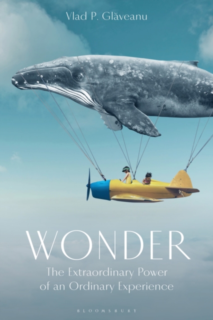 Wonder : The Extraordinary Power of an Ordinary Experience, Hardback Book