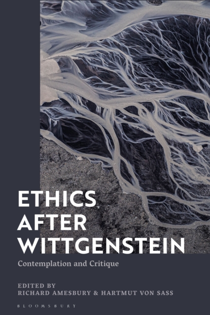Ethics after Wittgenstein : Contemplation and Critique, Hardback Book