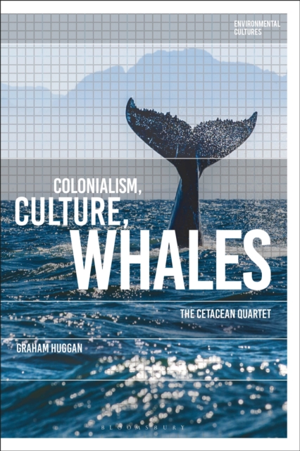 Colonialism, Culture, Whales : The Cetacean Quartet, Paperback / softback Book