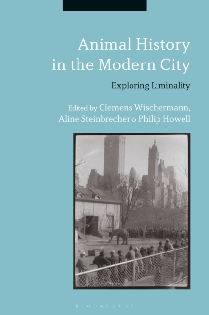 Animal History in the Modern City : Exploring Liminality, Paperback / softback Book