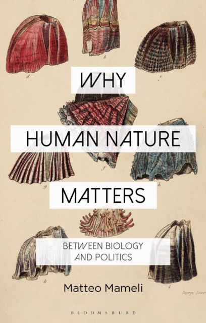 Why Human Nature Matters : Between Biology and Politics, EPUB eBook