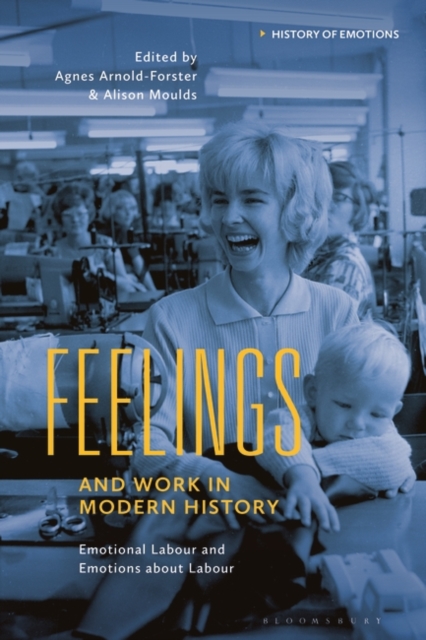 Feelings and Work in Modern History : Emotional Labour and Emotions about Labour, PDF eBook